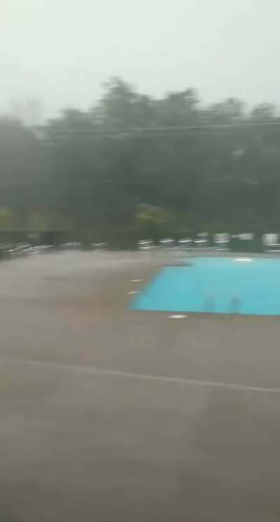 Being a lifeguard is fun