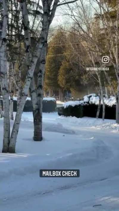 Checking for mail.