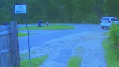 Florida man tries to kidnap an 11 year old girl from a bus stop
