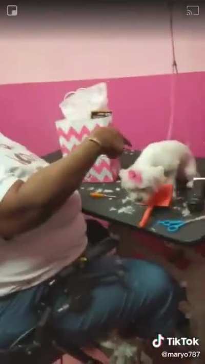 Do-