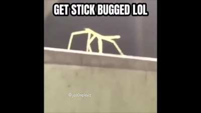 lol