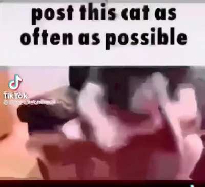 Moldy tiktok
