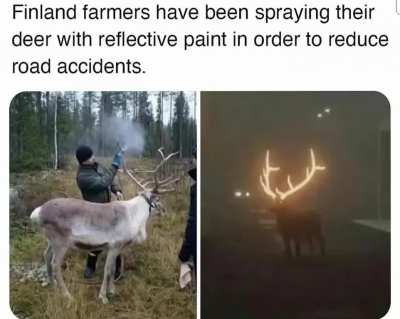 Least unusual day in Scandinavia