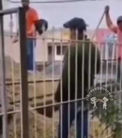 Deu pra ver a alma saindo do corpo deles