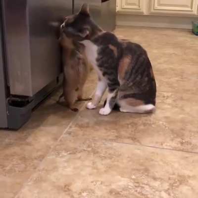 &ldquo;Yes, that&rsquo;s it, keep going&rdquo;