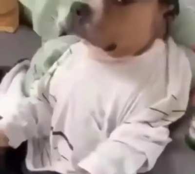 average r/shitposting user: