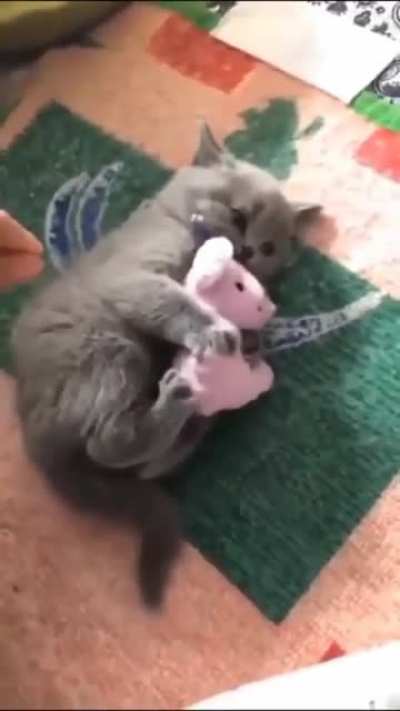 "It's mine and you can't have it."