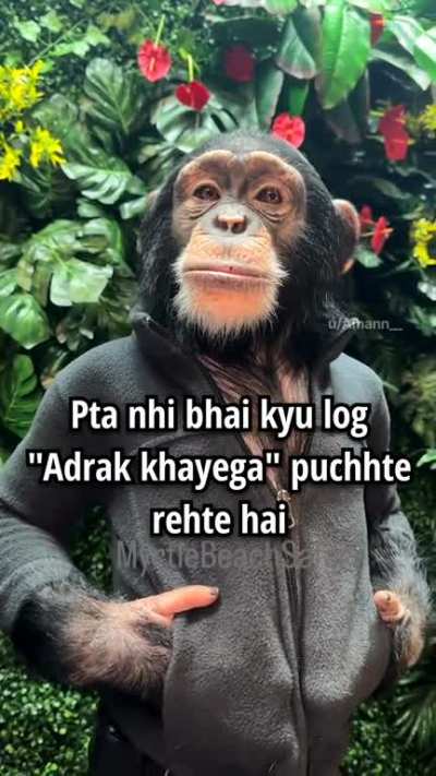 adrak khayega?
