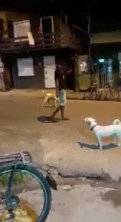 Rock Lee vs Akamaru *real footage*