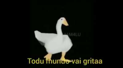 a musica &eacute; boa
