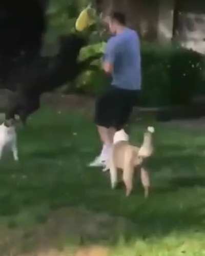 Coming in hot
