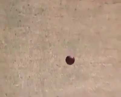 Umpiring is my passion !
