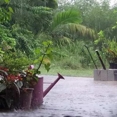 1 minute of rain