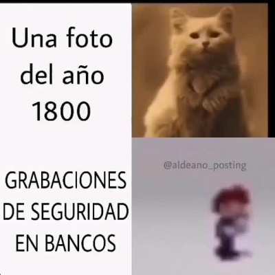 Xd
