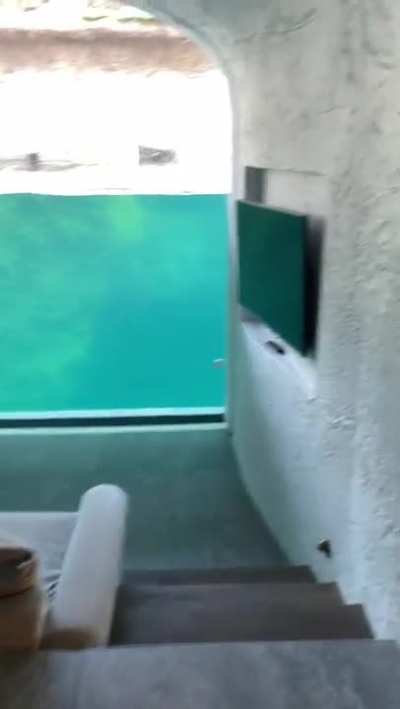 Let's check out the hotel room