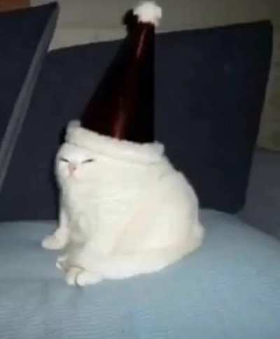 Merry r