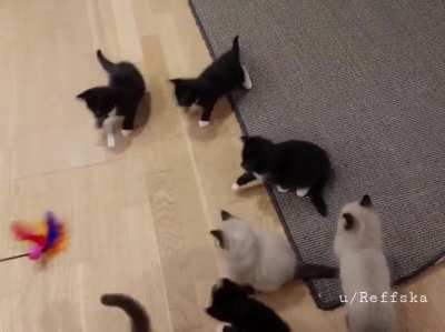 Playtime! 😊