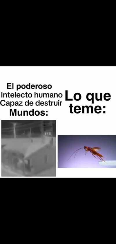 Un verdadero hombre siempre corre cuando la cucaracha vuela 🗿💀