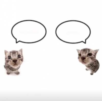 two sides