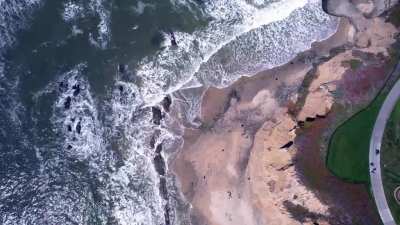 A beach aerial