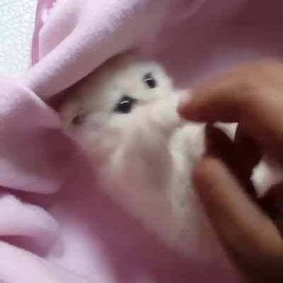 Немного милоты