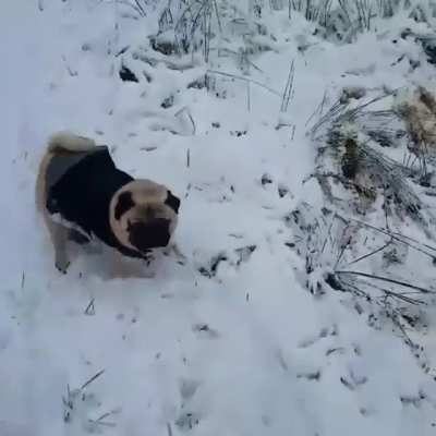 Ну а что, грязевая терапия это называется...