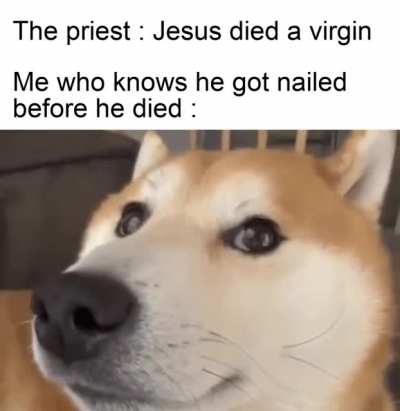 Can someone tell me the original gif or video of this shiba?