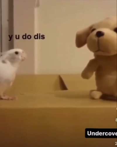 To sing