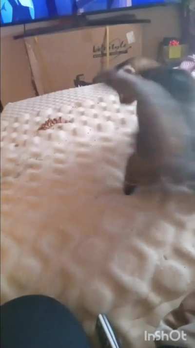 Flounder On The Nip! (volume up)