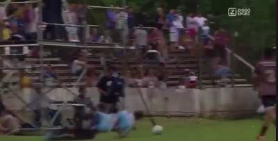 All ball ref