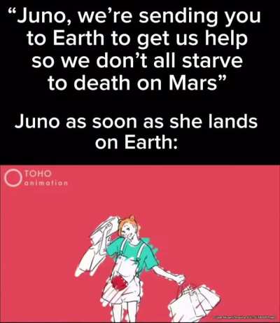 &ldquo;Terrans have so many languages, i have decided to learn them all!&rdquo; YOUR FAMILY IS DYING IN THE DEPTHS OF SPACE!!!! 