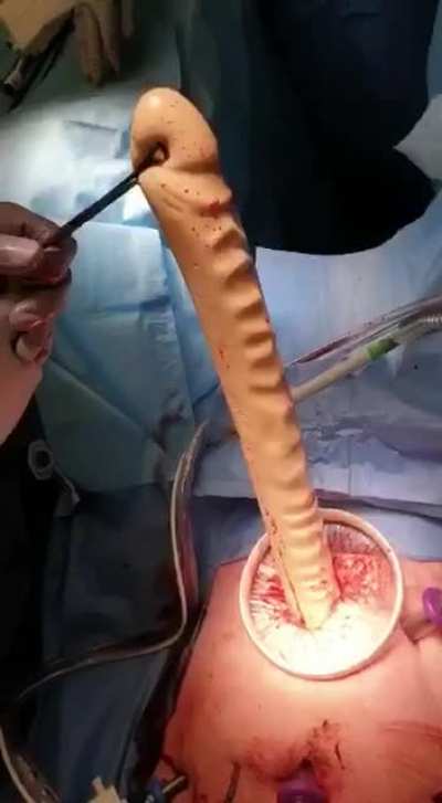... that was unexpected... nsfw