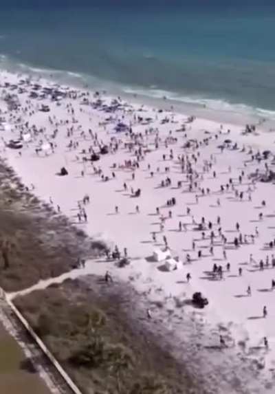 Drug dog immediately clears massive beach crowd.