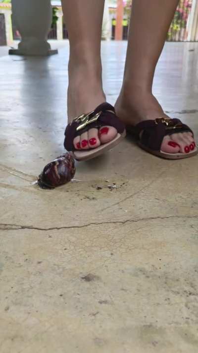 🐌Under my feet 