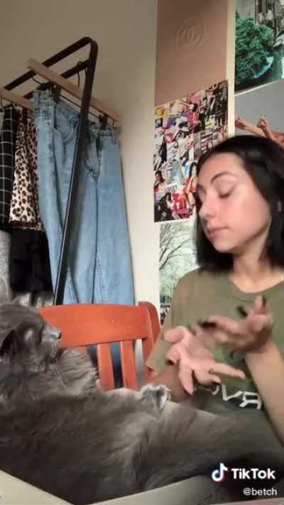 Woman fires cat! He didn&rsquo;t take it very well!