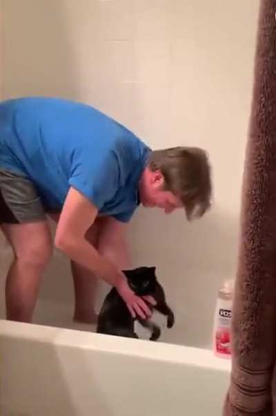 Cat says "I love you" then attacks owner