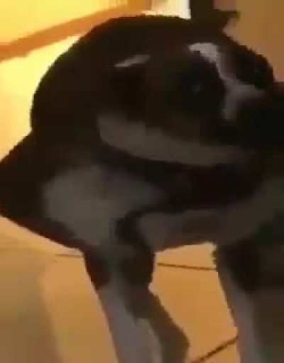 Rom rom