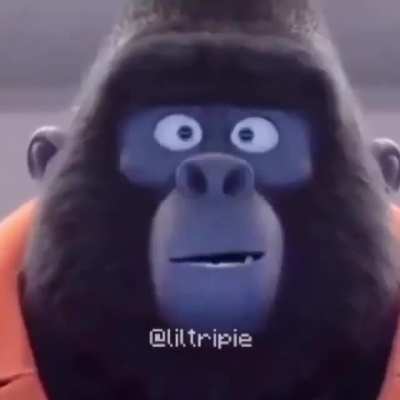 cursed gorillaussy