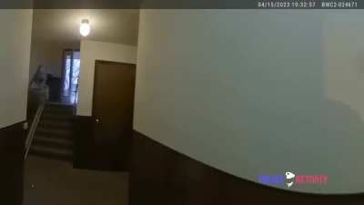 Domestic Arrest Turns Critical 