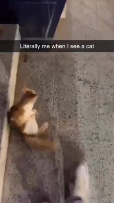 😺👀