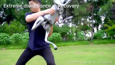 Unitree's $1600 robot dog shows off what it's learned from RL.