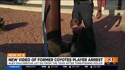 July 9th video of now former NHL player, Alex Galchenyuk, after being arrested for hit and run, disorderly conduct, failure to obey, resisting arrest and threatening