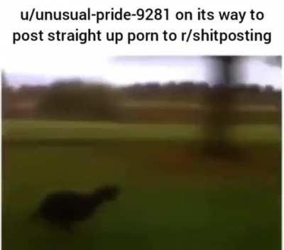 its funny because its porn 🙂