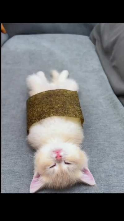 Meowshi!