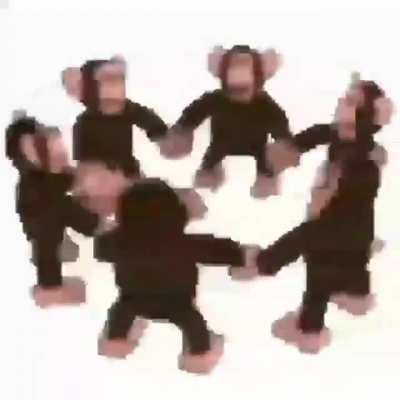 FELIZ DIA DO MACACO ACO MAMACO ACACO