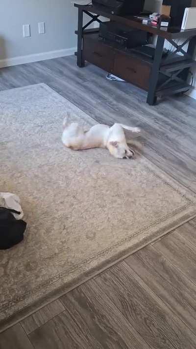 After the bath
