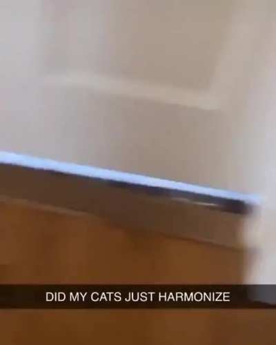 Harmonization