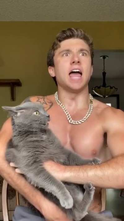 Poor kitty
