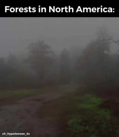 Now don&rsquo;t go wandering in them woods now in Appalachia
