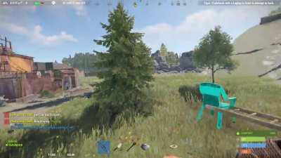 My buddy and I discovered an abandoned amusement park in Rust, complete with a Merry Go Round of death!
